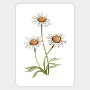 Daisies Sticker